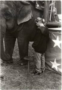 Elephant's Freind resize