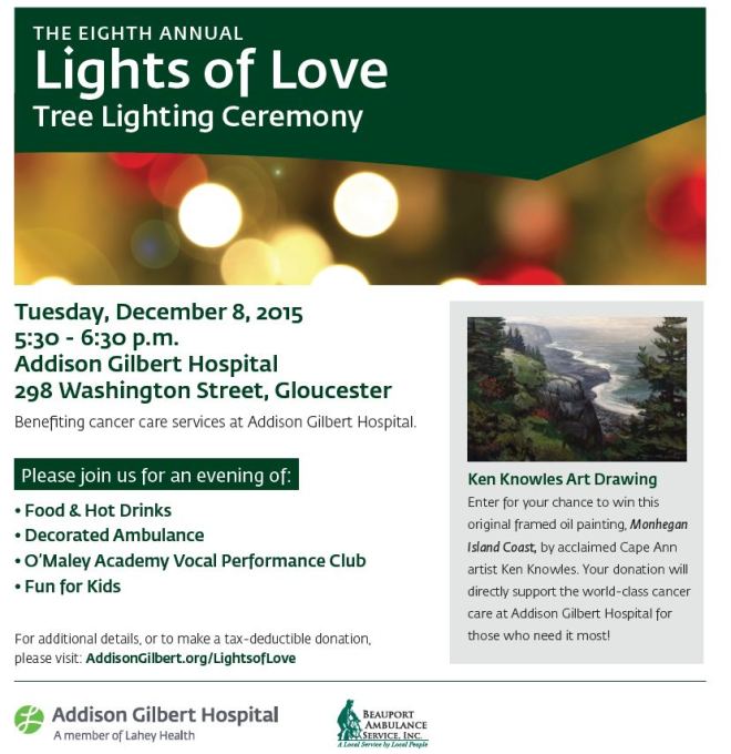 Lights of Love 2015