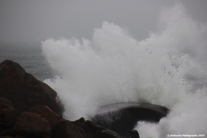 November 11, 2015 3 hours after high tide on Wednesday