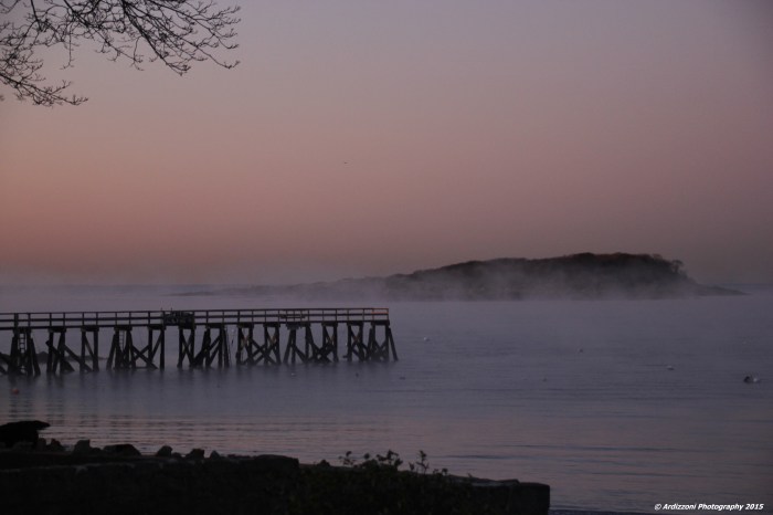 November 18, 2015 Good Morning Magnolia on a cold morning