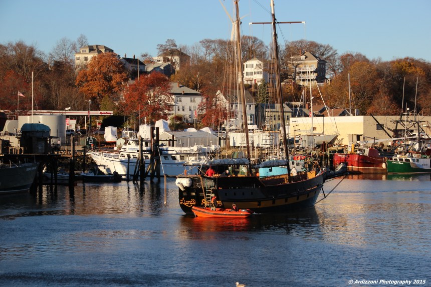 November 23, 2015 Liana Ransom