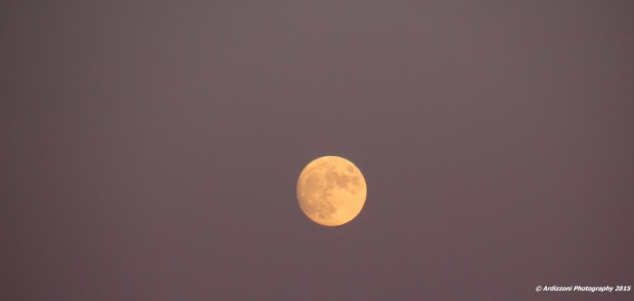 November 24, 2015 Good Night Moon