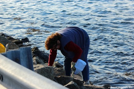 november 7, 2015 cleaning