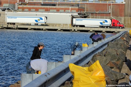 november 7, 2015 what a team