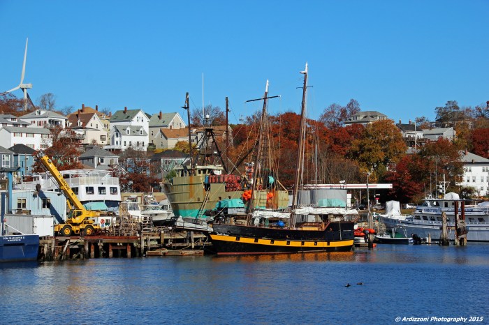 November 8, 2015 beautiful day at the State Pier