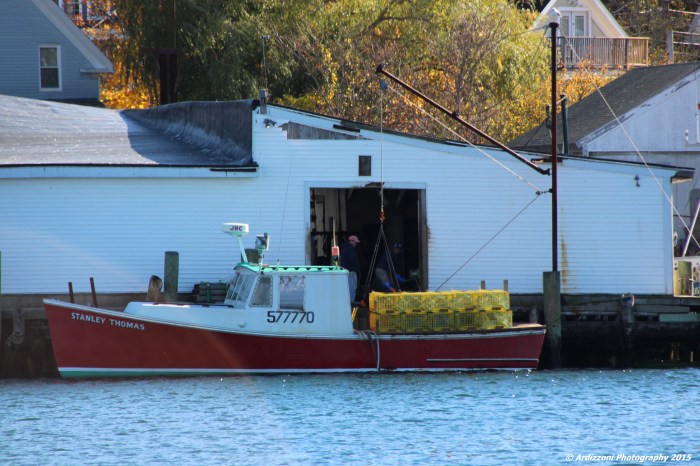 November 8, 2015 Joey working hard