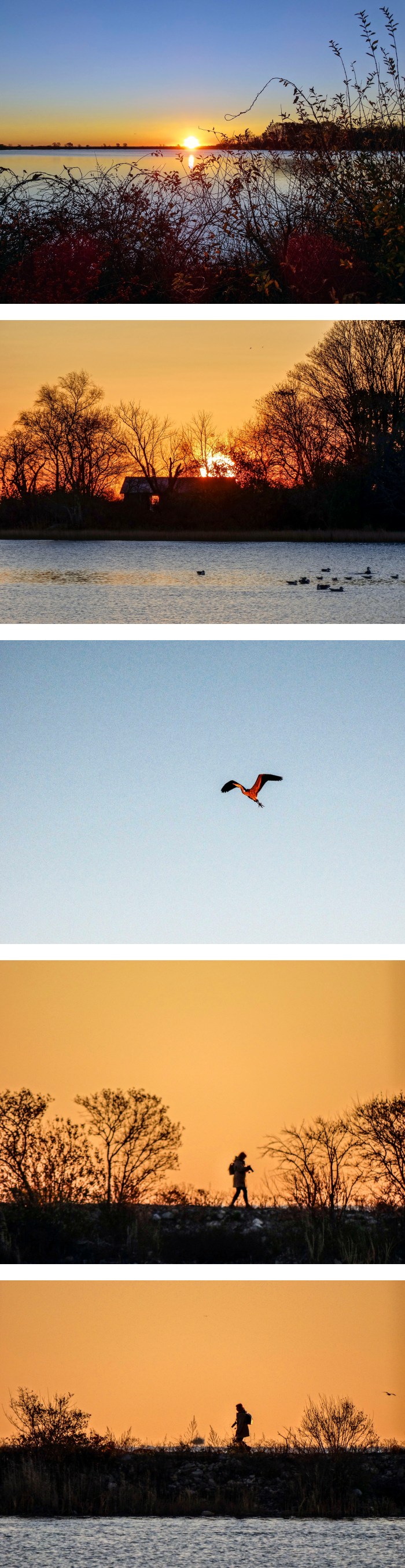 sunrise on niles and kim smith