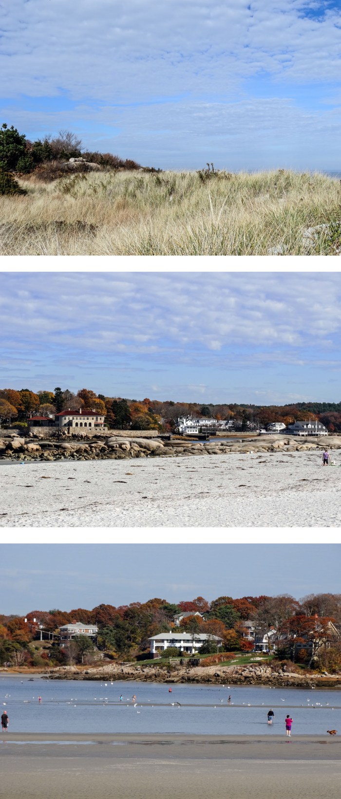 wingaersheek in november