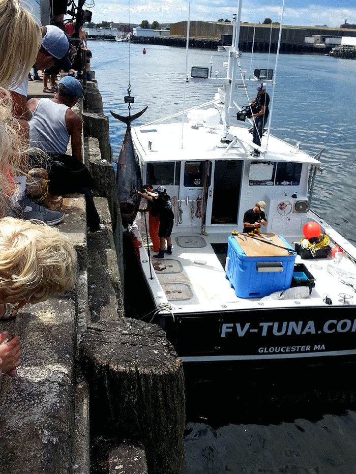 wp-1448711069961 image