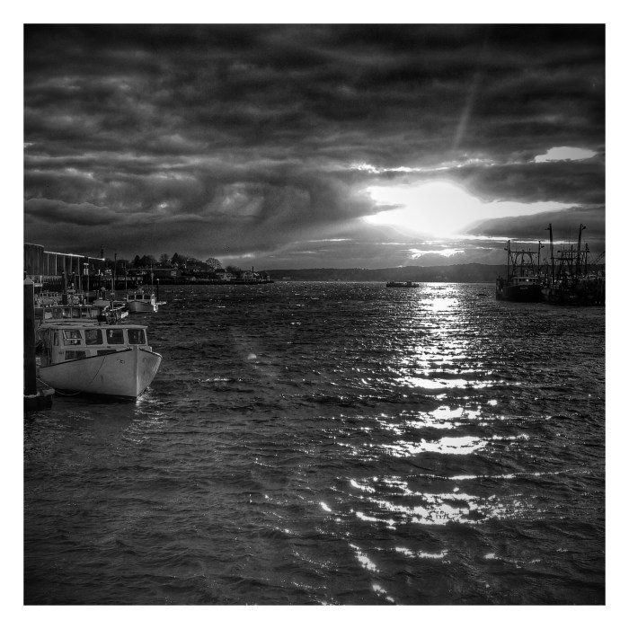 wp-1448762442185 image