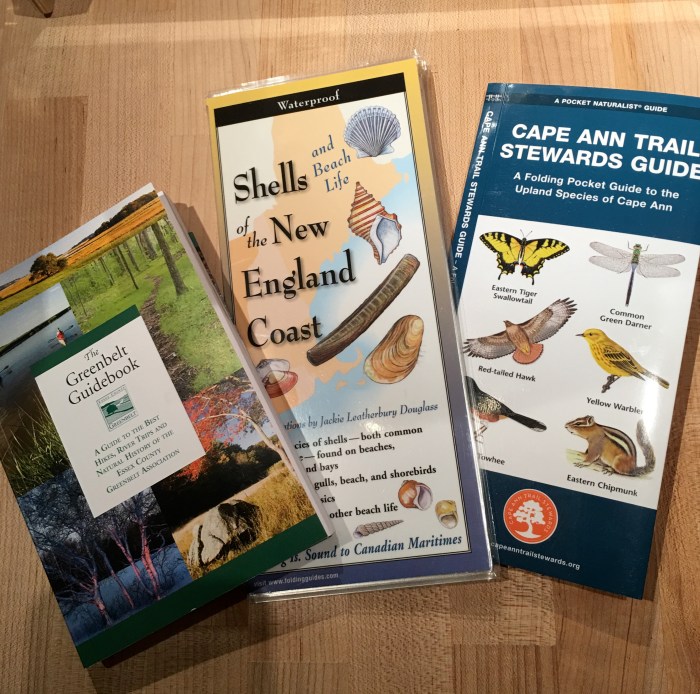 Cape Ann Museum -4 ©Kim Smith 2015