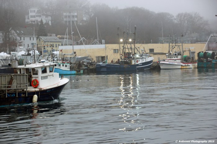 December 14, 2015 State Pier in the fog