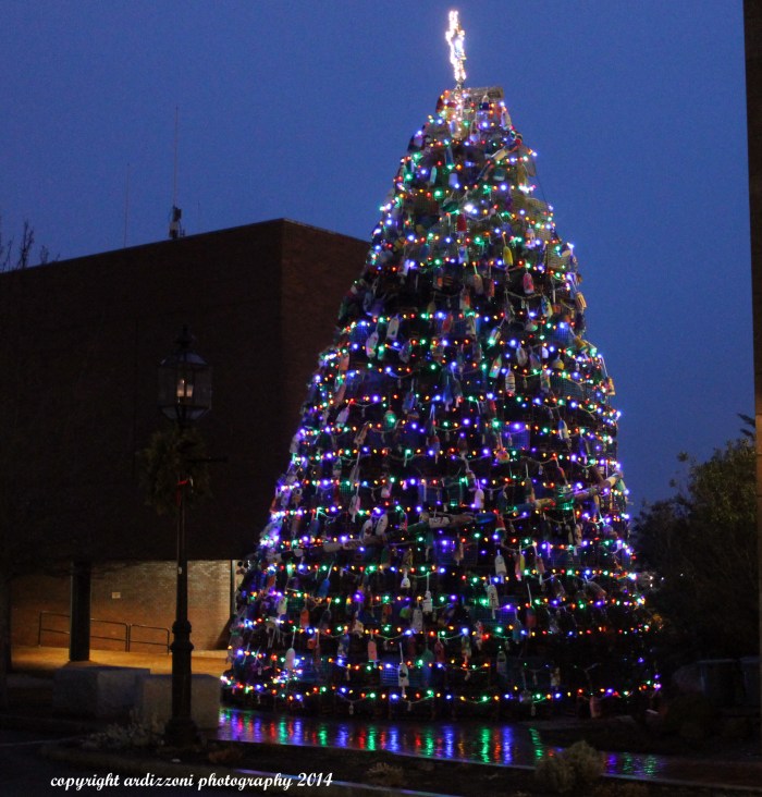 December 16, 2014 pretty lobster tree