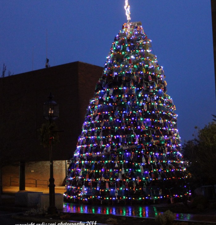 December 16, 2014 pretty lobster tree