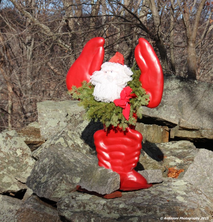 December 16, 2015 Lobster Claws