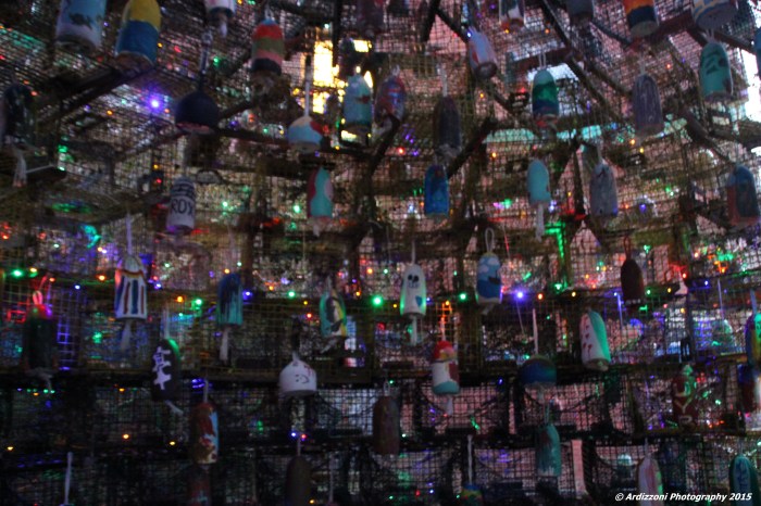 December 19, 2015 Inside the Lobster Trap Tree