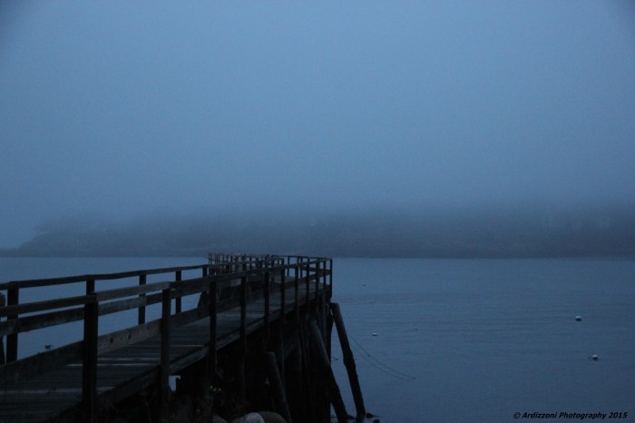 December 23, 2015 Magnolia Pier in the fog