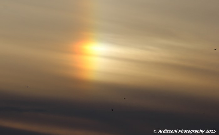 December 28, 2015 sundog on the State Pier Monday