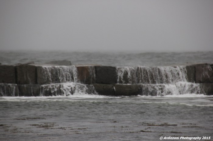 December 29, 2015 cold windy rainy sleet day