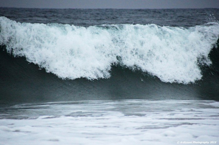 December 9, 2015 The curl of the wave1