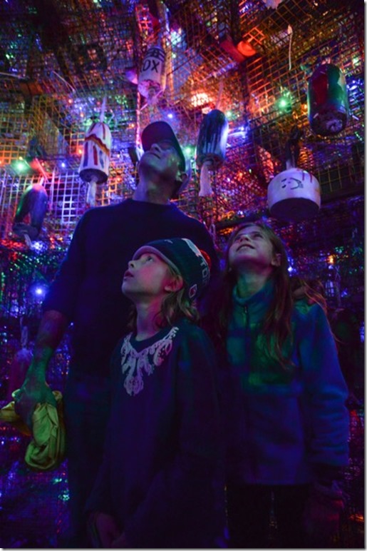 desilobstertraptreephoto