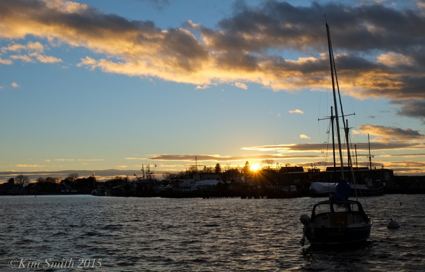 GLOUCESTER HARBOR ROCKY NECK DECEMBER 2015