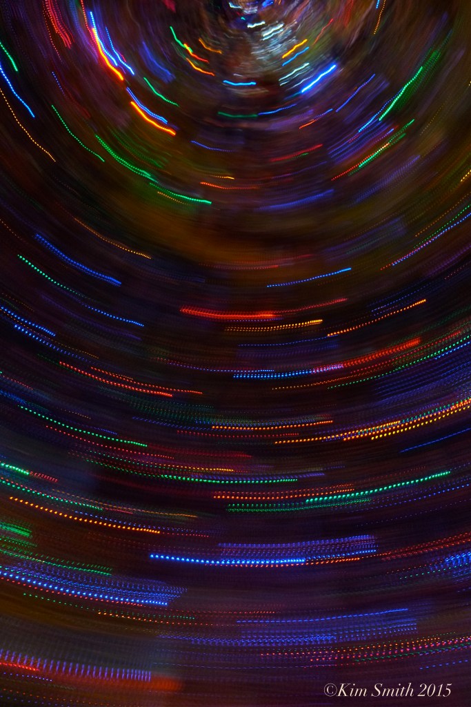 Gloucester Lobster Trap Tree -2 ©Kim Smith 2015 copy