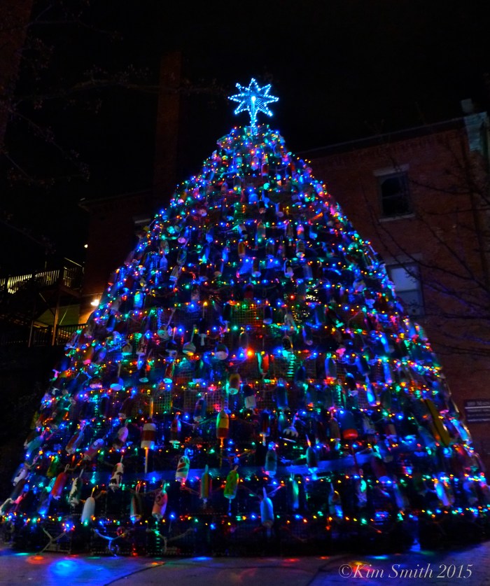 Gloucester Lobster Trap Tree ©Kim Smith 2015 copy