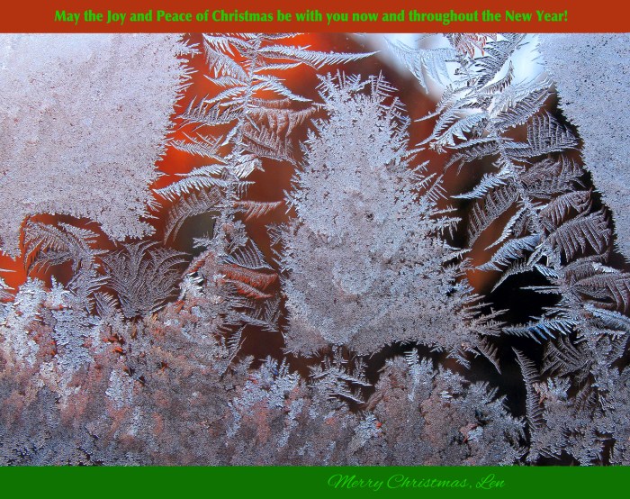 IceCrystals(J1)1-7-15_0240