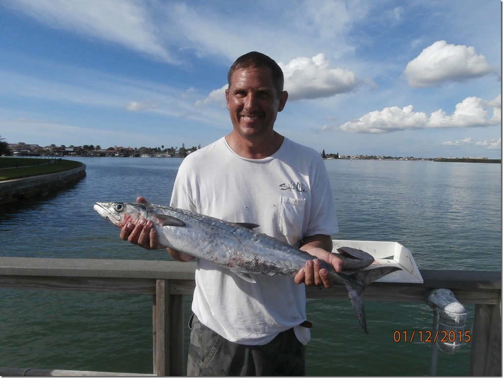 kingfish2