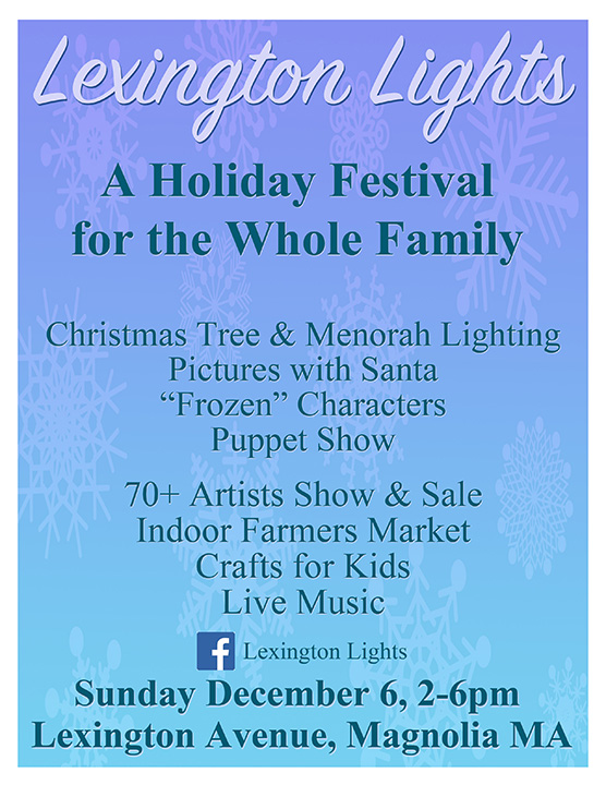 Lexington Lights 2015 Flyer.jpg