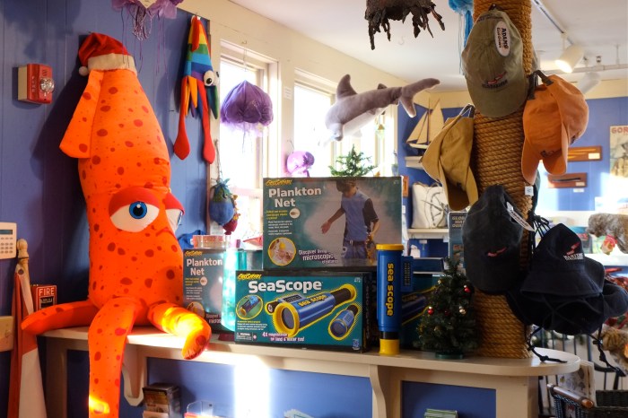 maritime gloucester -5 ©Kim Smith 2015