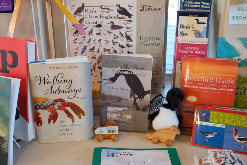 maritime gloucester -6 ©Kim Smith 2015