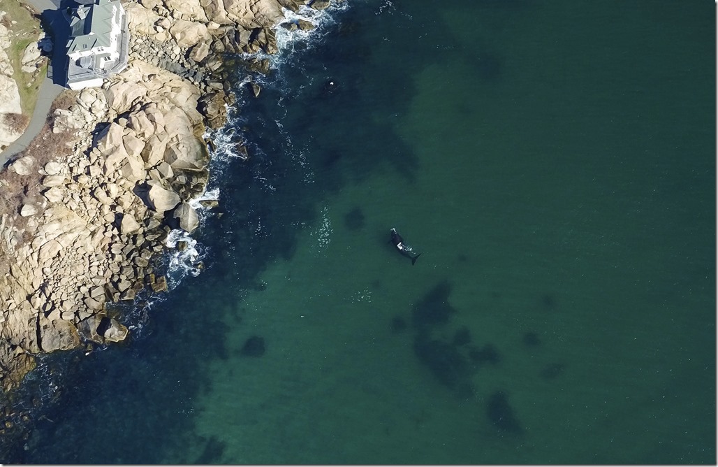 martin22793310894_c57978407a_h