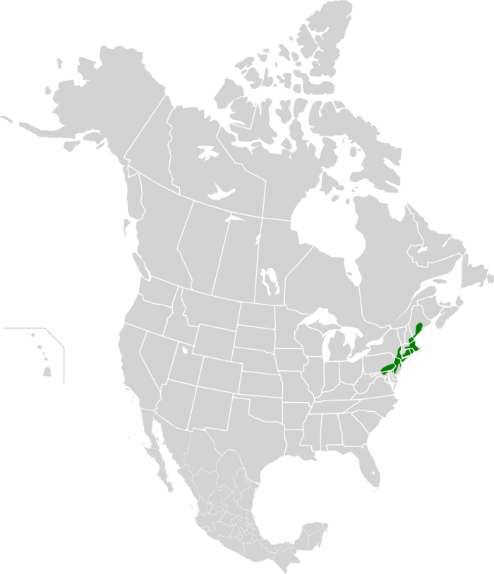 Northeastern_coastal_forests_map.svg