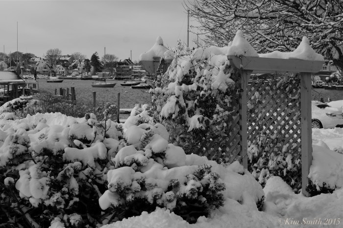 SMITHS COVE EAST GLOUCESTER ©Kim Smith 2014