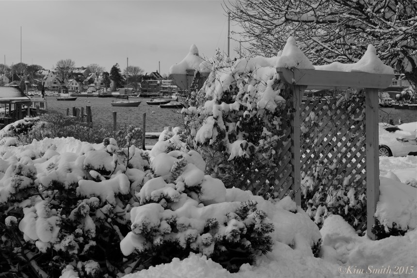 SMITHS COVE EAST GLOUCESTER ©Kim Smith 2014