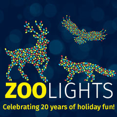 zoolights_box