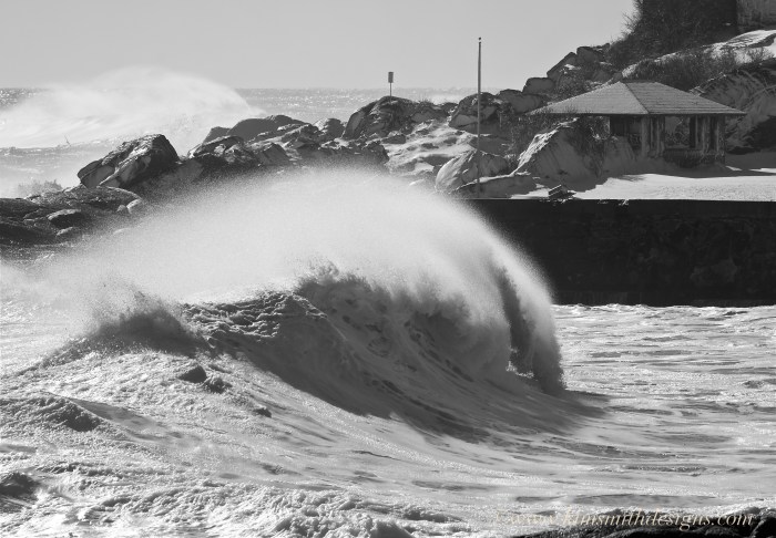 Back Shore -2 Blizzard Jonas ©www.kimsmithdesigns.com