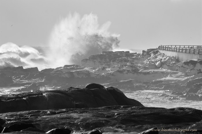 Back Shore Blizzard Jonas ©www.kimsmithdesigns.com