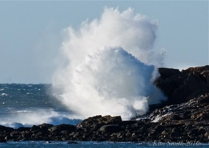 Brace Cove Eastern Point Atlantic Ocean Waves -2 ©Kim Smith 2016