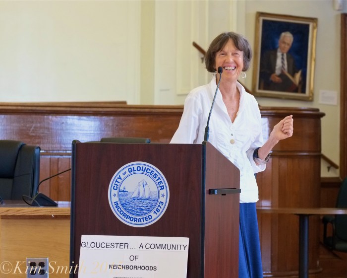 gloucester-downtown-quilt-project-juni-van-dyke-c2a9kim-smith-2015