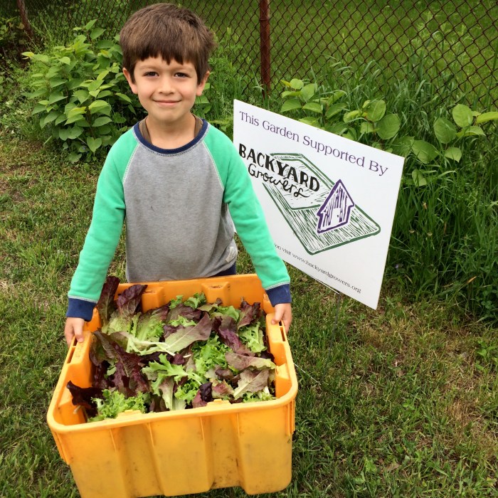 Henry Harrison Salad Harvest West Parish Elementary Gloucester