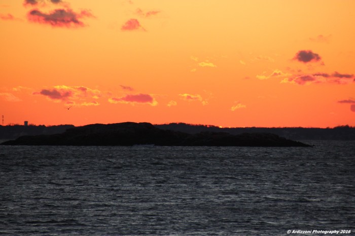 Janaury 11, 2016 pink sky at dusk