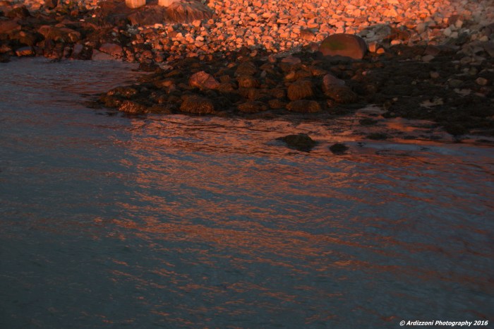 January 27, 2016 reflections at sunset