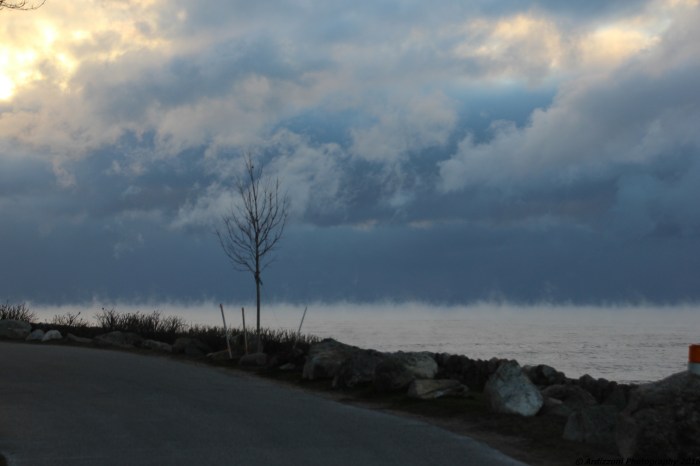January 5, 2016 Sea smoke on from Shore Road