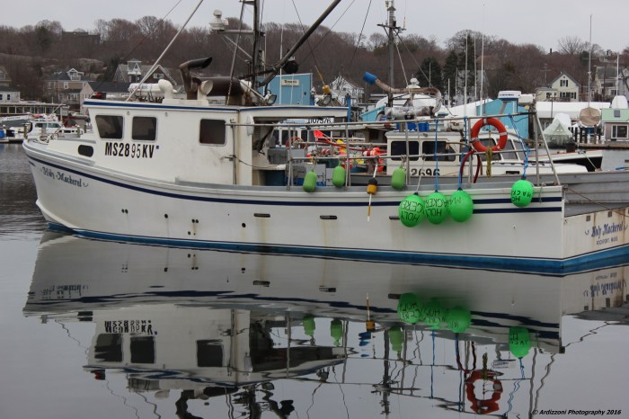 January 9, 2016 Holy Mackeral