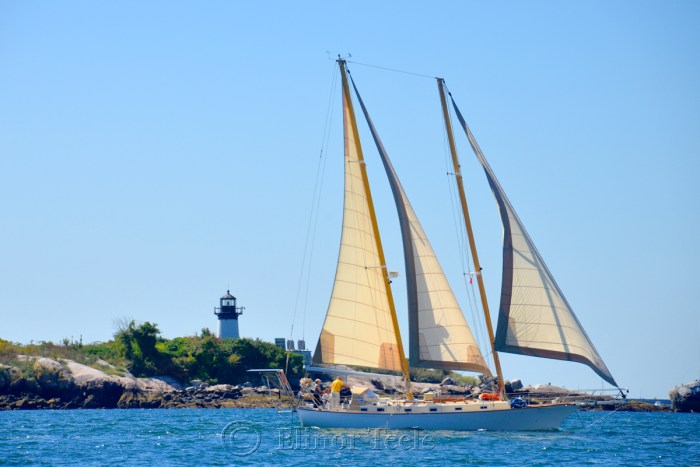 squam-creative-teele-schooner-apella