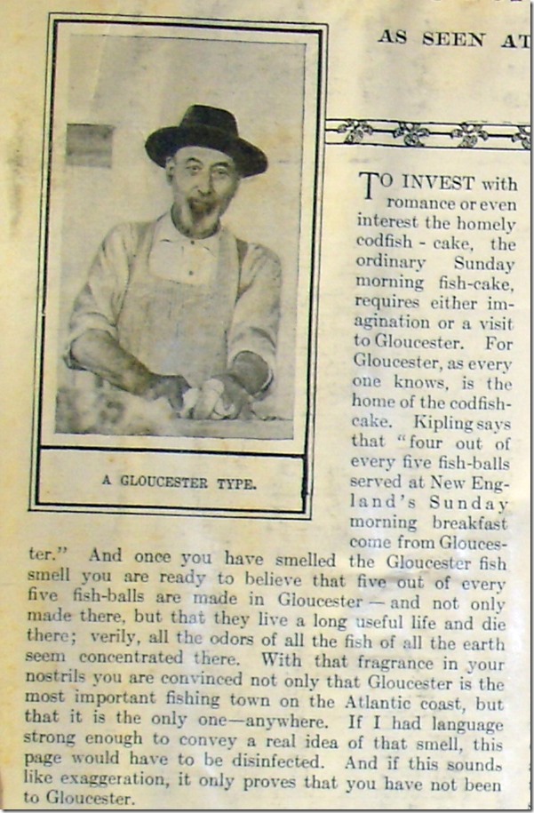 Evolution of fishcakes __- paragraph 1