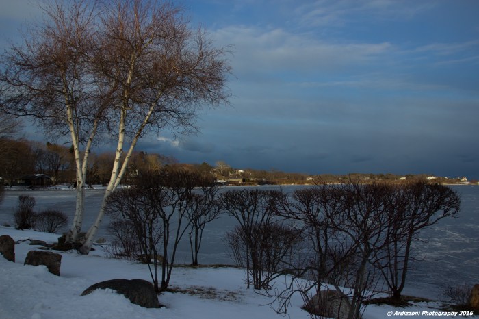 February 11, 2016 Niles Pond at dusk